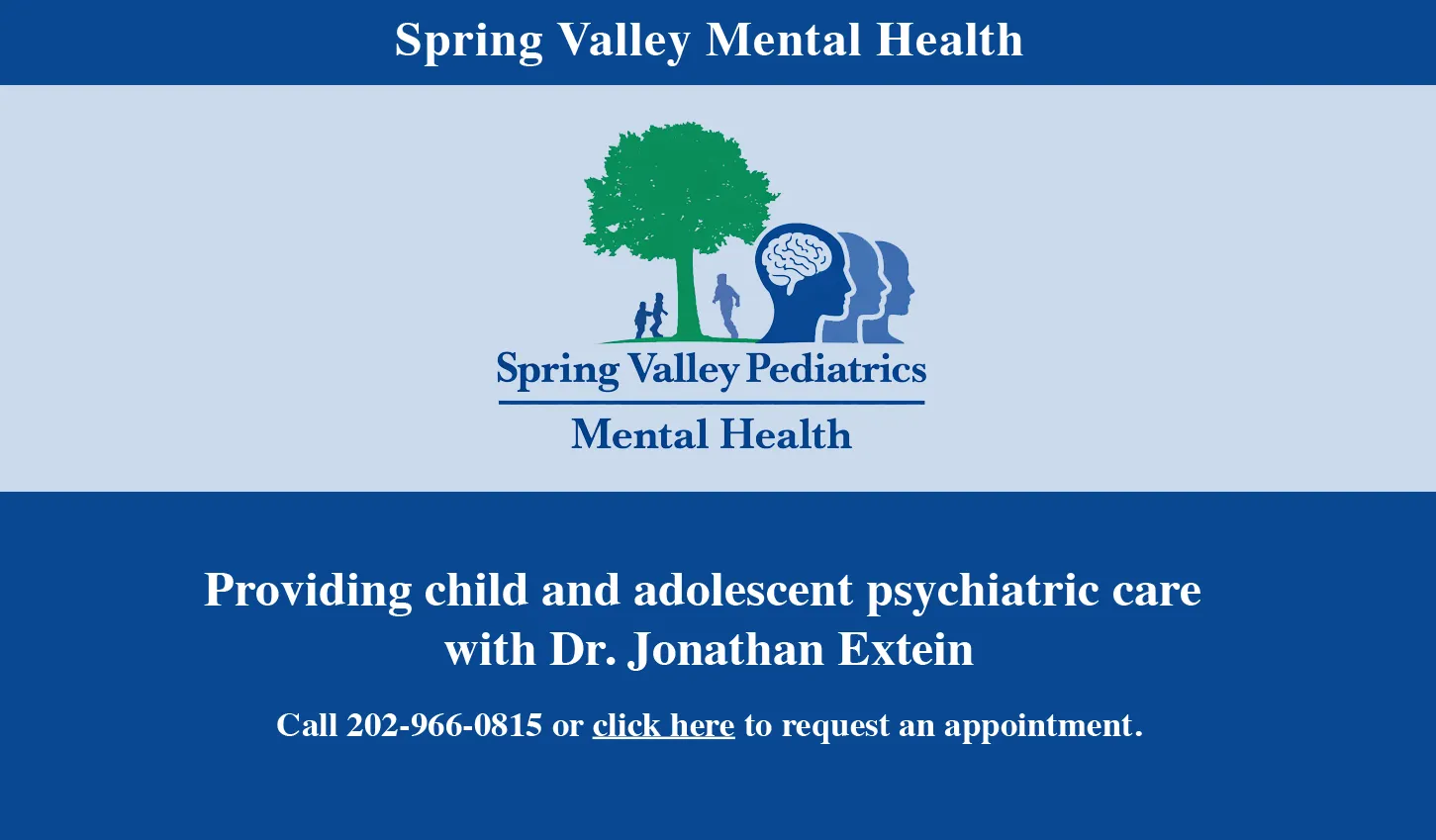 Spring Valley Mental Health